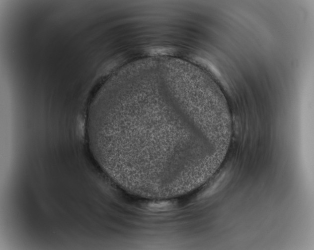 X0000091650357200709201130