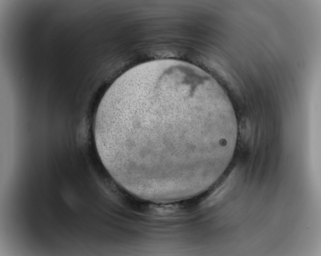 X0000091650359200709201130