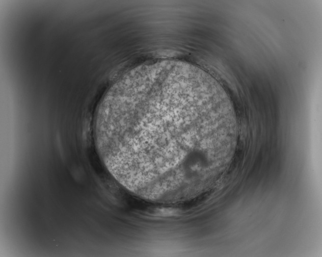 X0000091650360200709201130