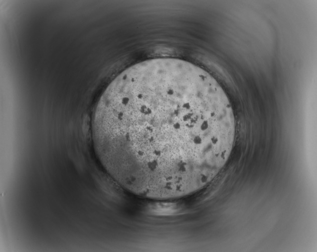 X0000091650361200709201130