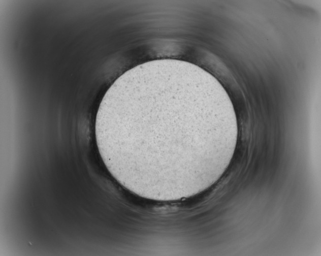 X0000091650362200709201130