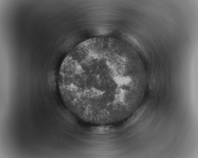 X0000091650366200709201130