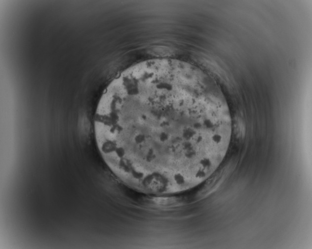 X0000091650371200709201130