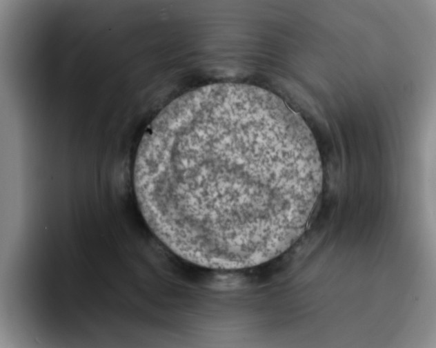 X0000091650376200709201130