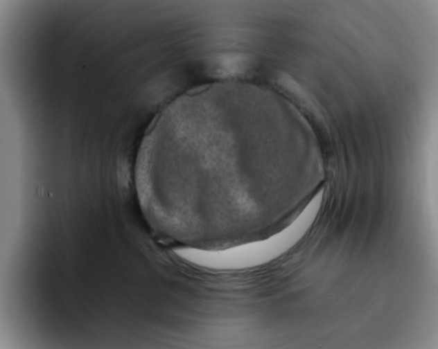 X0000091650380200709201130