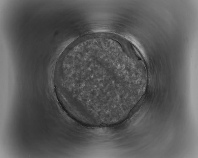 X0000091650385200709201130