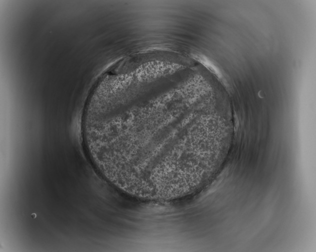 X0000091650386200709201130