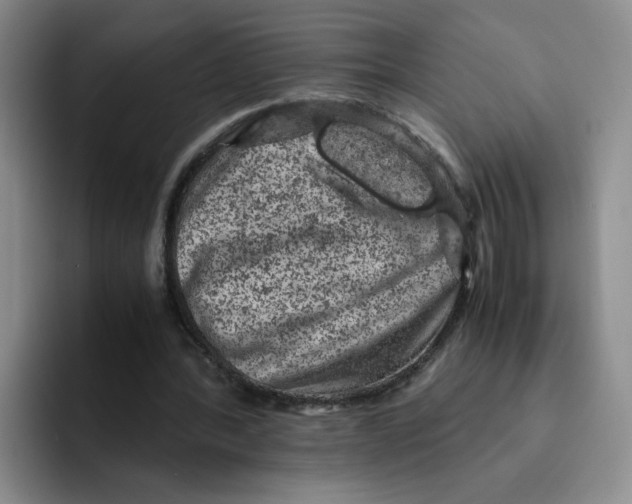 X0000091650388200709201130