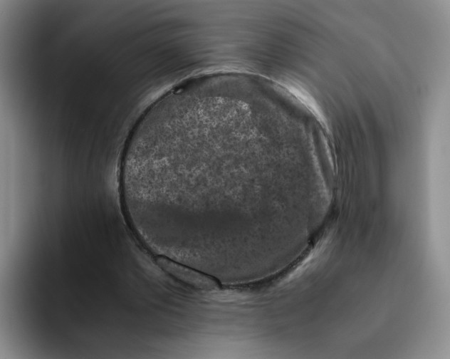 X0000091650389200709201130