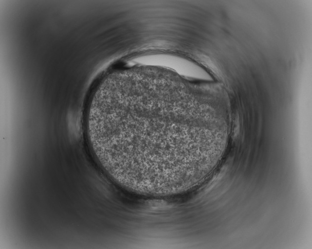 X0000091650392200709201130