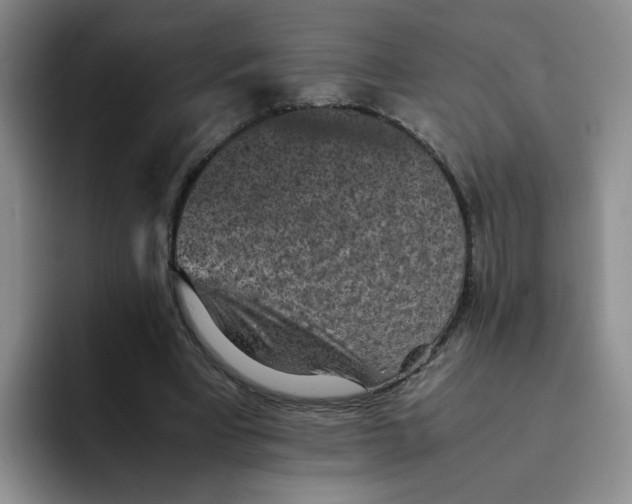 X0000091650393200709201130