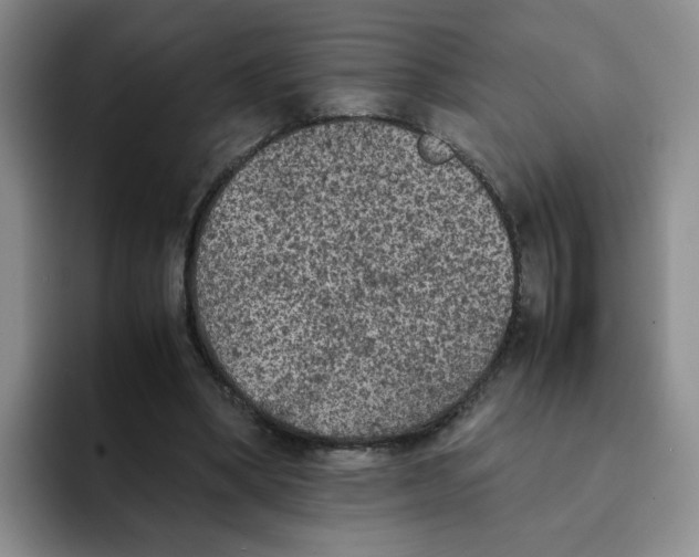 X0000091650394200709201130