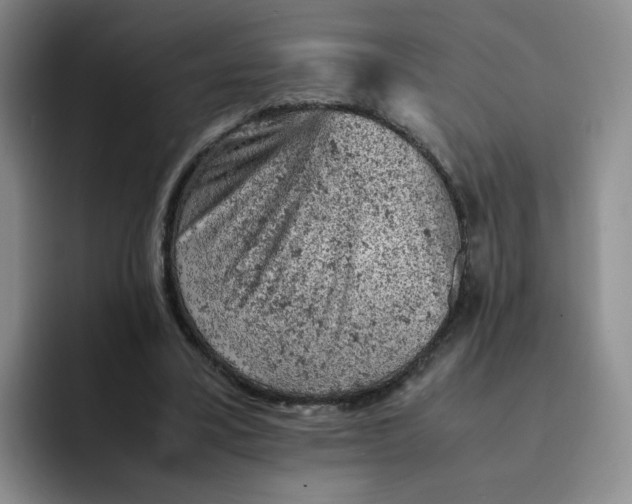 X0000091650395200709201130