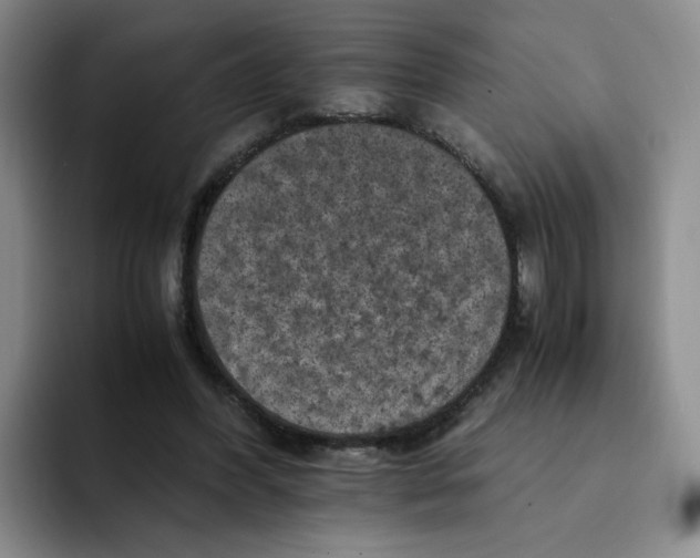 X0000091650396200709201130