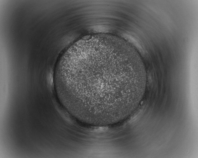 X0000091650398200709201130