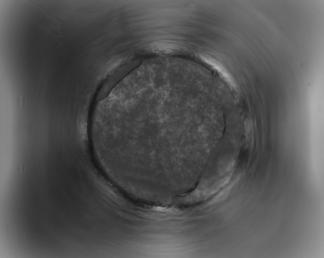 X0000091650399200709201130