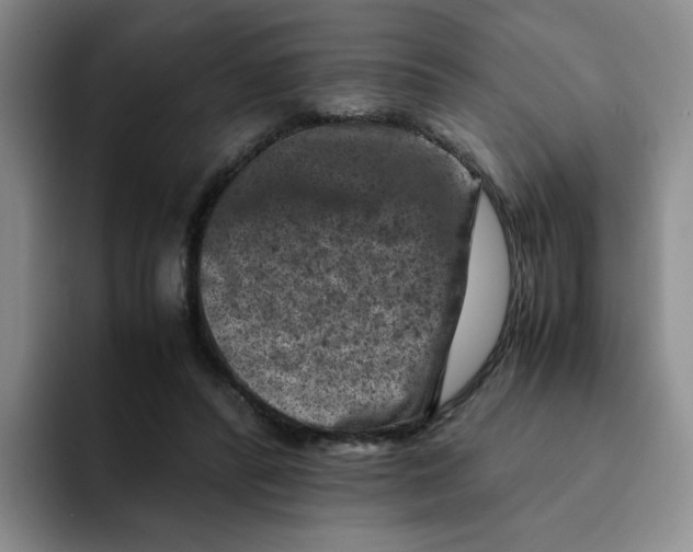 X0000091650400200709201130