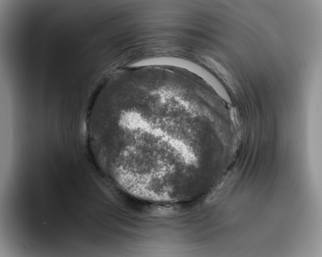 X0000091650405200709201130