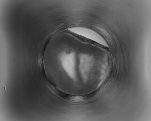 X0000091650409200709201130