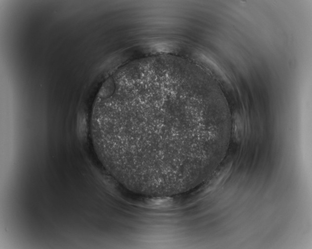 X0000091650410200709201130