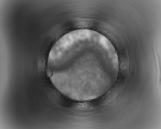 X0000091650411200709201130