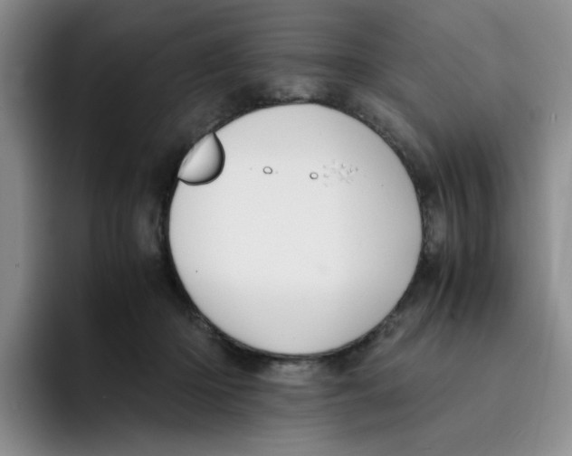 X0000091650414200709201130