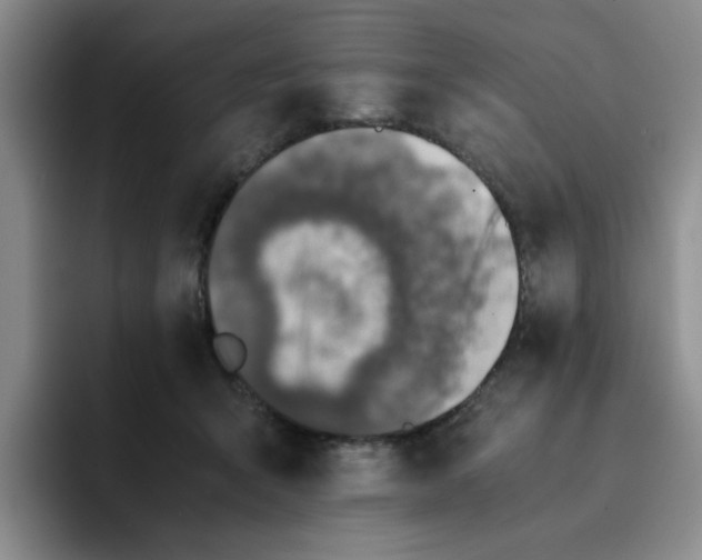 X0000091650415200709201129