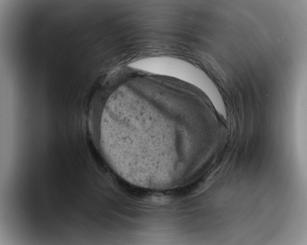 X0000091650416200709201129