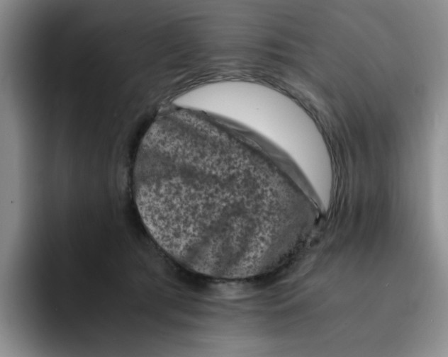 X0000091650417200709201129