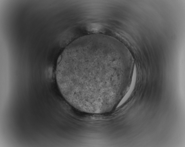 X0000091650420200709201129