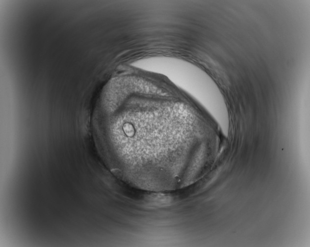 X0000091650421200709201129