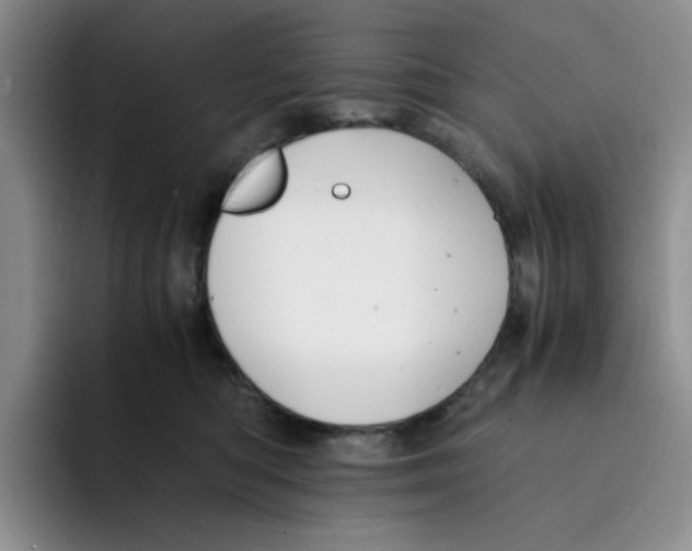 X0000091650422200709201129