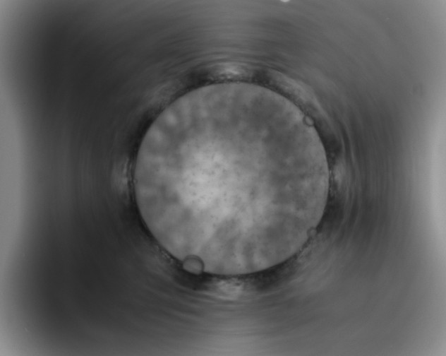 X0000091650423200709201129