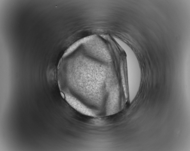 X0000091650425200709201129