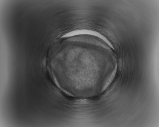 X0000091650428200709201129