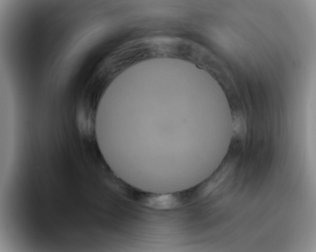 X0000091650431200709201129