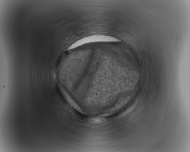 X0000091650432200709201129