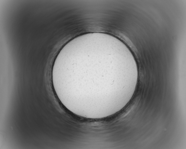 X0000091650433200709201129