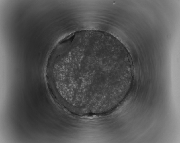 X0000091650434200709201129