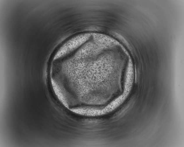 X0000091650435200709201129