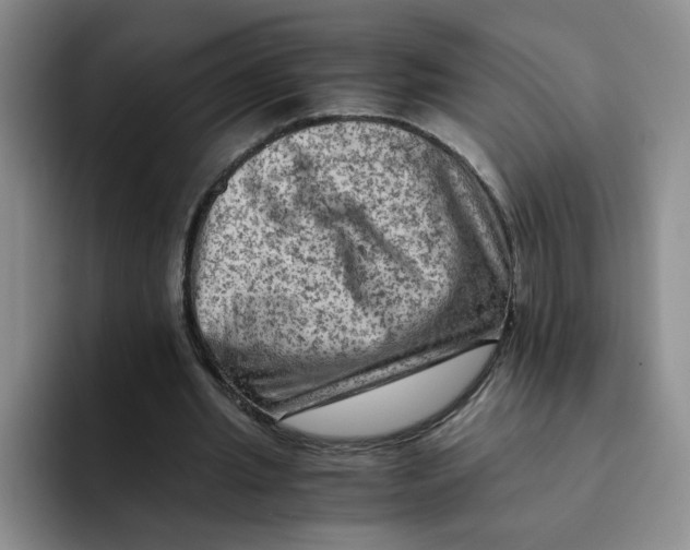 X0000091650437200709201129