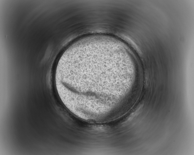 X0000091650439200709201129