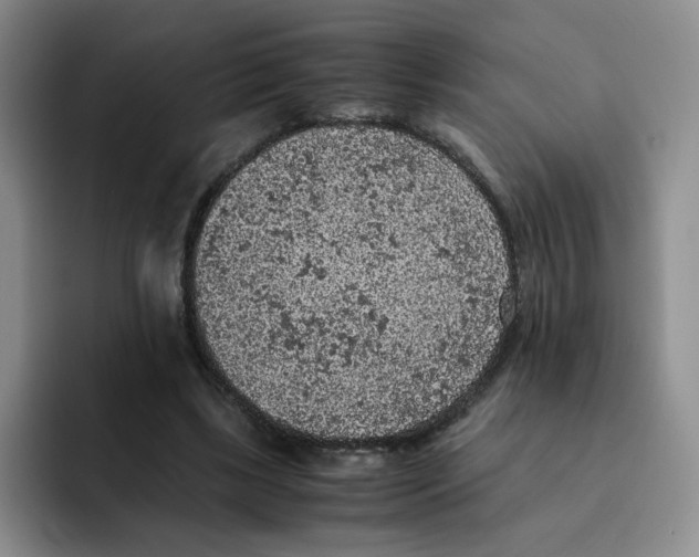 X0000091650443200709201129