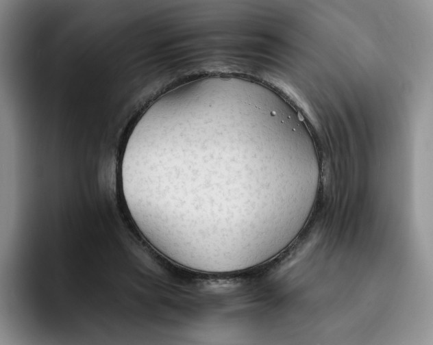 X0000091650445200709201129