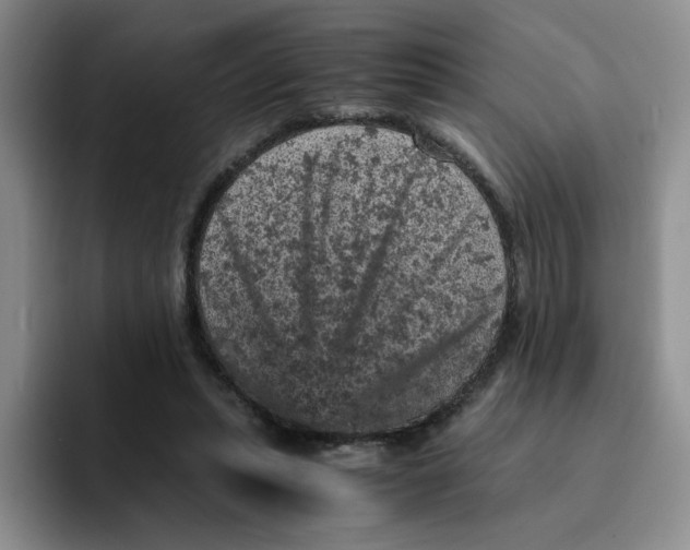 X0000091650447200709201129