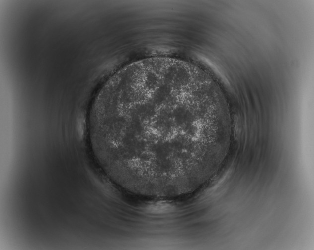 X0000091650451200709201129