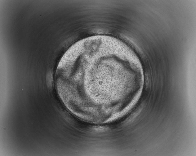 X0000091650453200709201129