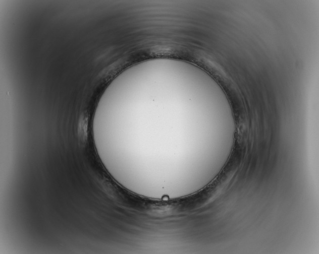 X0000091650454200709201129