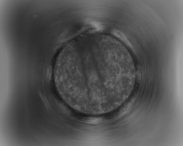 X0000091650458200709201129