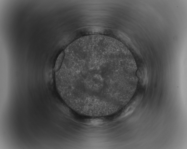 X0000091650462200709201129